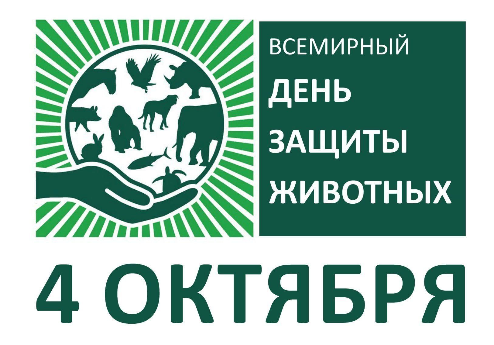 В гимназии запущена акция «Добрый друг».